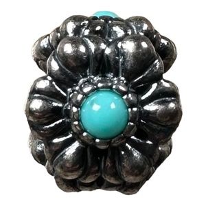 PANDORA Birthday Blooms December Charm 790580TQ